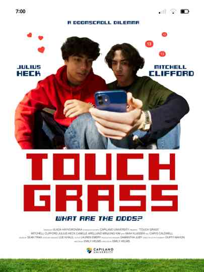 Touch Grass Poster
