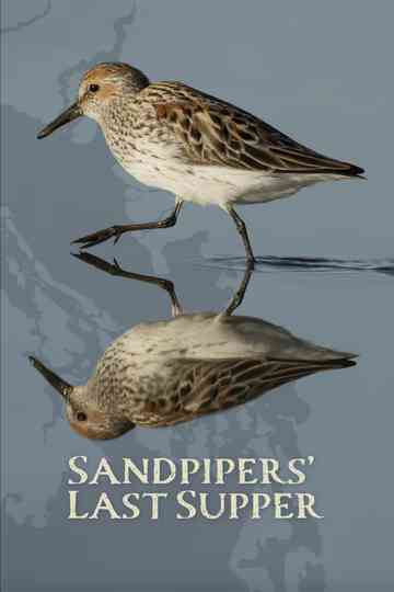 Sandpipers' Last Supper Poster