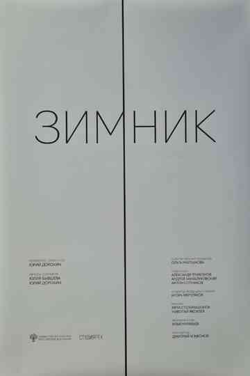 The Winter Road Poster