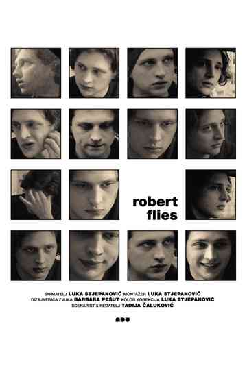 Robert Flies Poster