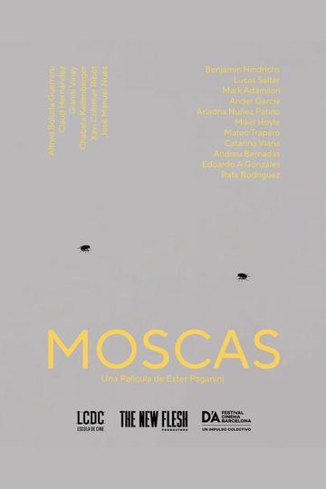 Moscas