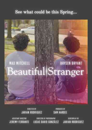 Beautiful Stranger Poster