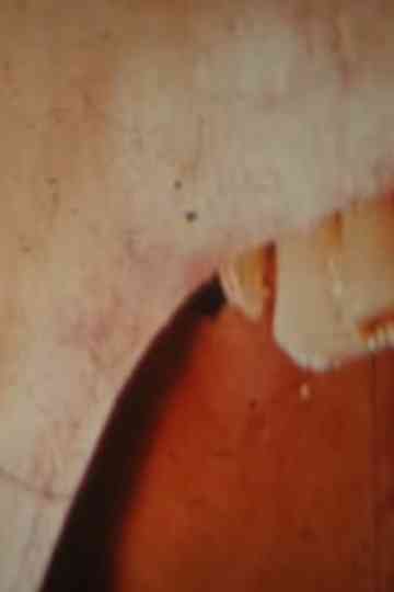 Outcry (for Luther) Poster