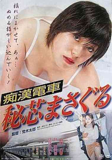 Groper Train: Groping the Secret Core Poster