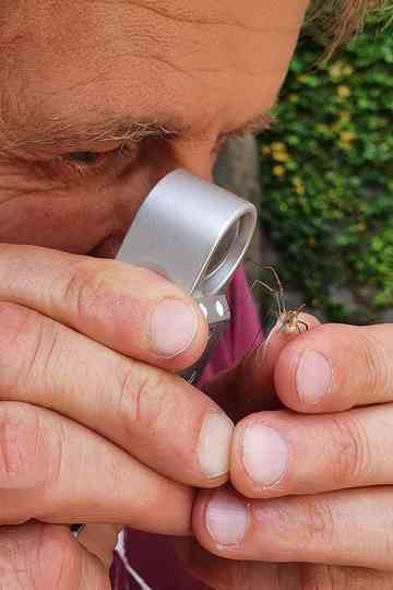 Geheimnisvolle Parktiere - Wildes Leben in der Stadt Poster