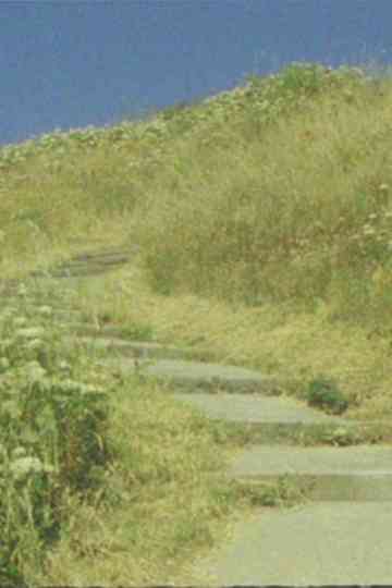 The seagull... and the glory of God Poster