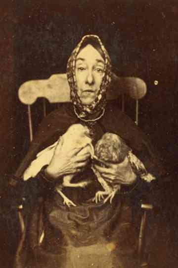 Why the Long Face Poster