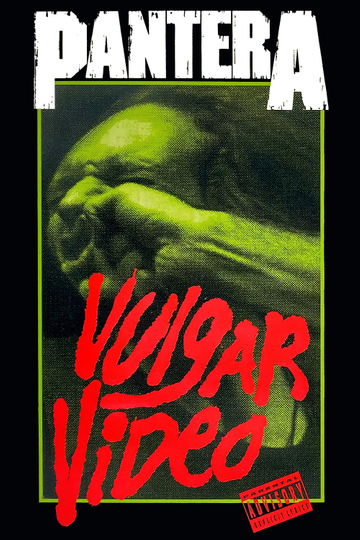 Pantera Vulgar Video