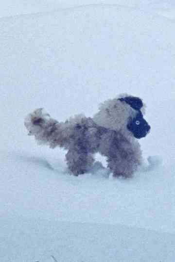 February Answers Poster