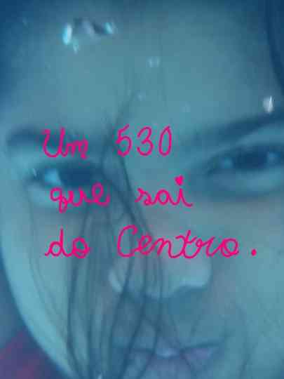 Um 530 que sai do Centro. Poster