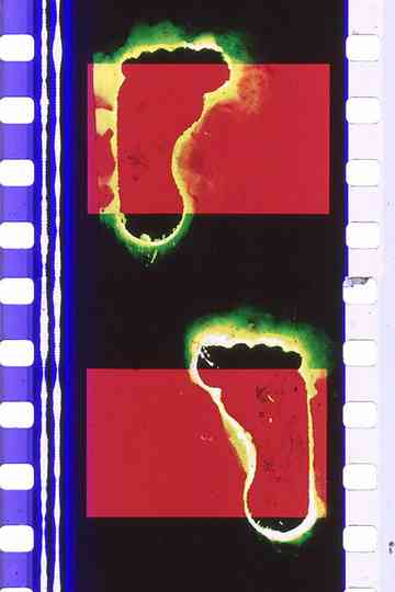 STEREO FRAMEWORK/ASYNCHROMY Poster