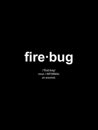 Firebug Poster