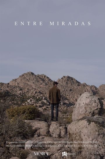 Entre miradas