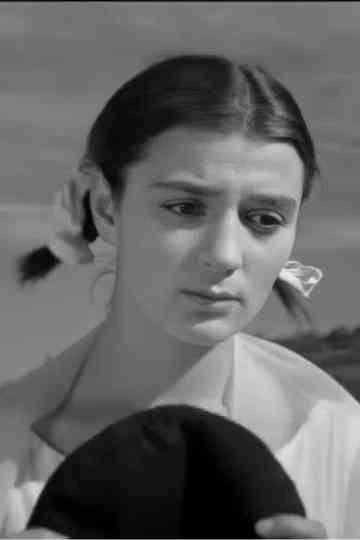 Intercity Train Poster