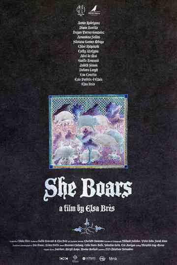 She Boars Poster