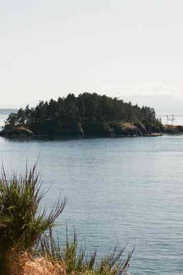 happy birthday Poster