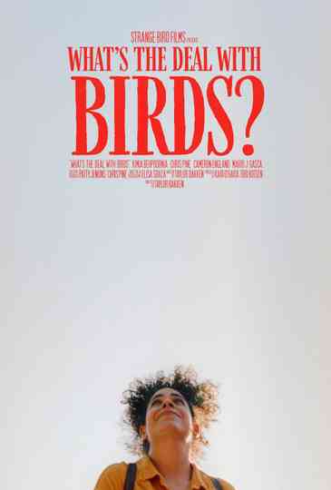 What's The Deal With Birds? Poster