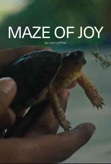 Maze of Joy Poster
