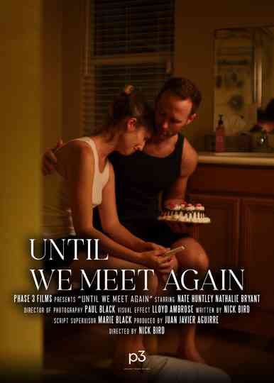 Until We Meet Again Poster
