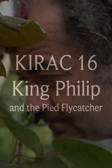 KIRAC 16: King Philip and the Pied Flycatcher