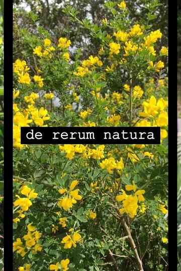 de rerum natura Poster