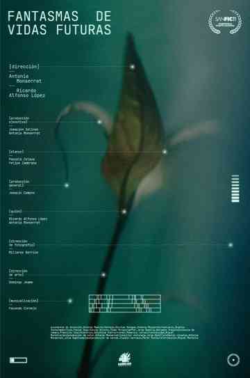 Ghost of future lives Poster