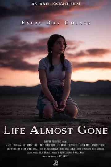 Life Almost Gone Poster
