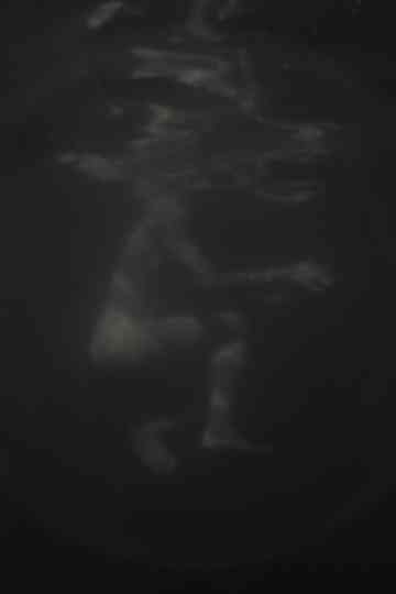 Hazug disznók az álmok is Poster