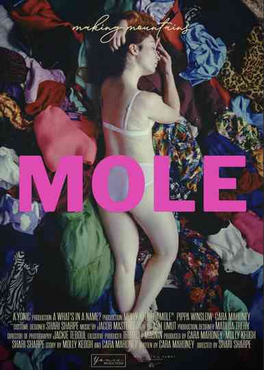 Mole Poster