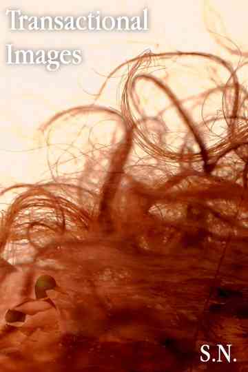 Transactional Images Poster