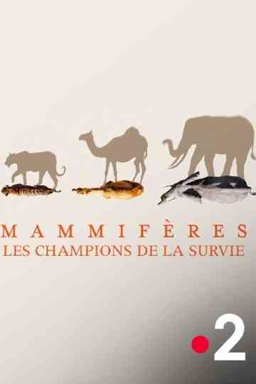 Mammifères, les champions de la survie Poster