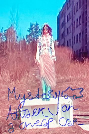 Mystery attack on a cheap car