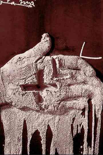 Homage to Tàpies Poster