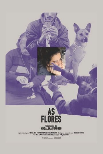 As Flores