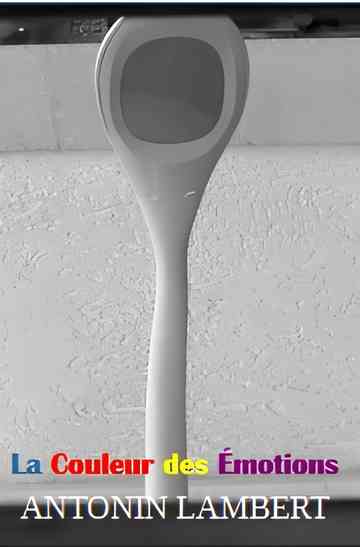 La Couleur des Émotions Poster