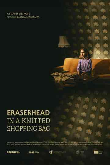 Eraserhead in a Knitted Shopping Bag Poster
