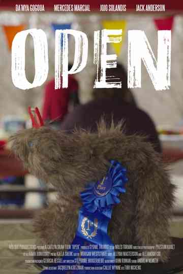 Open Poster