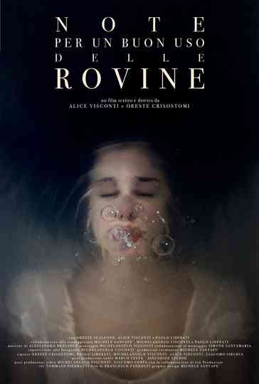 Notes For a Good Use of the Ruins Poster