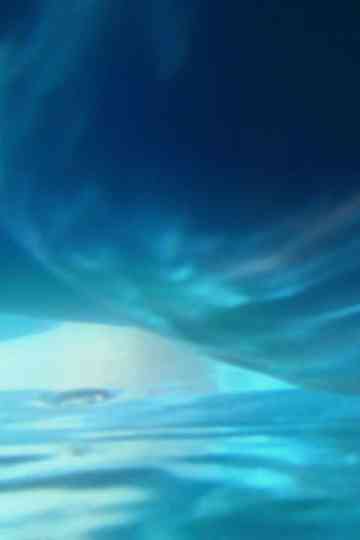 How Much Air Lungs Can Hold Poster