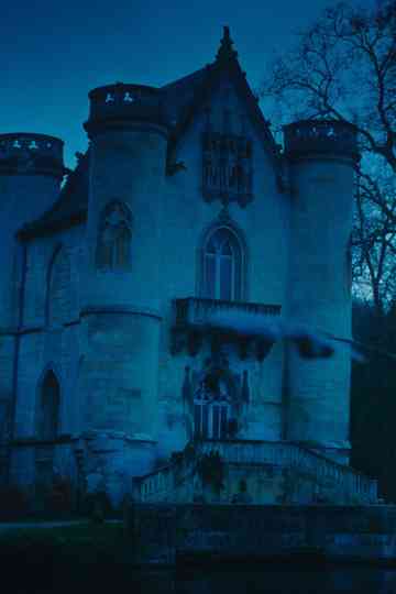 Backflip Again Poster