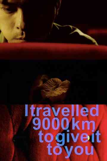 I Travelled 9000 km to Give It to You Poster