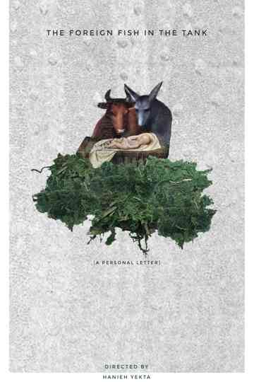 The foreign fish in the tank Poster