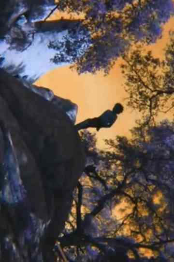 42 Second Dream Poster