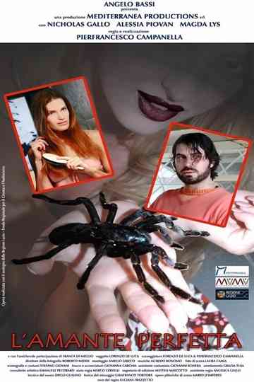 L'amante perfetta Poster