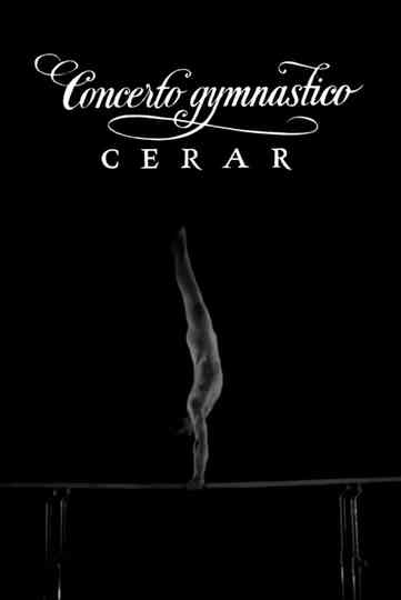 Gymnastic Performance Poster