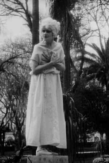 Statues of Portugal Poster