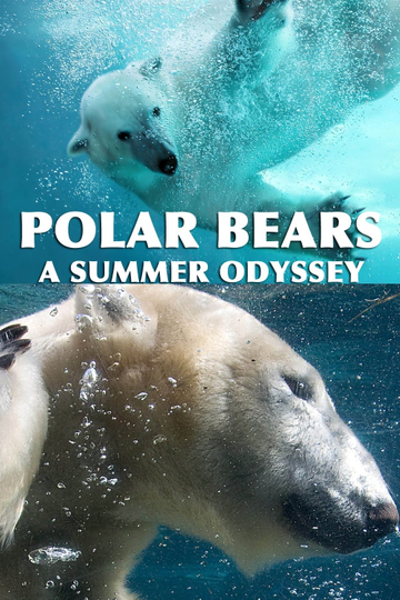 Polar Bears A Summer Odyssey