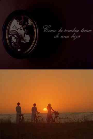 Como la sombra tenue de una hoja Poster