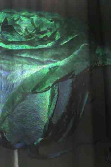 November Showers Poster