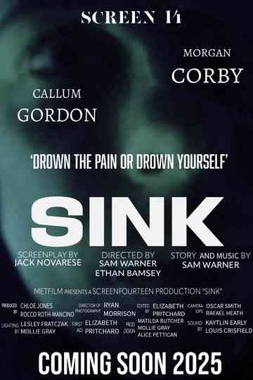 Sink Poster